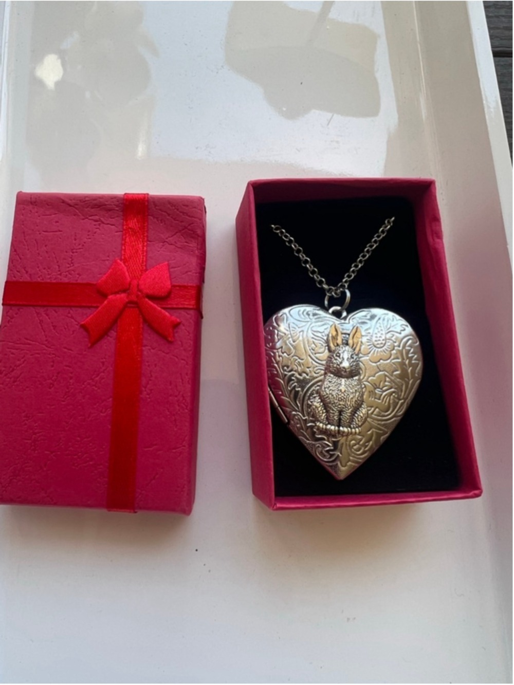 NWT Rabbit Heart Locket Necklace Silver